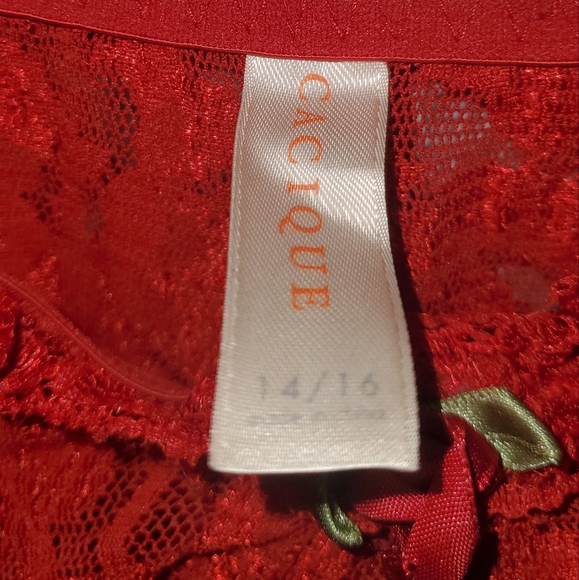 Sexy valentines lingerie - Picture 9 of 9